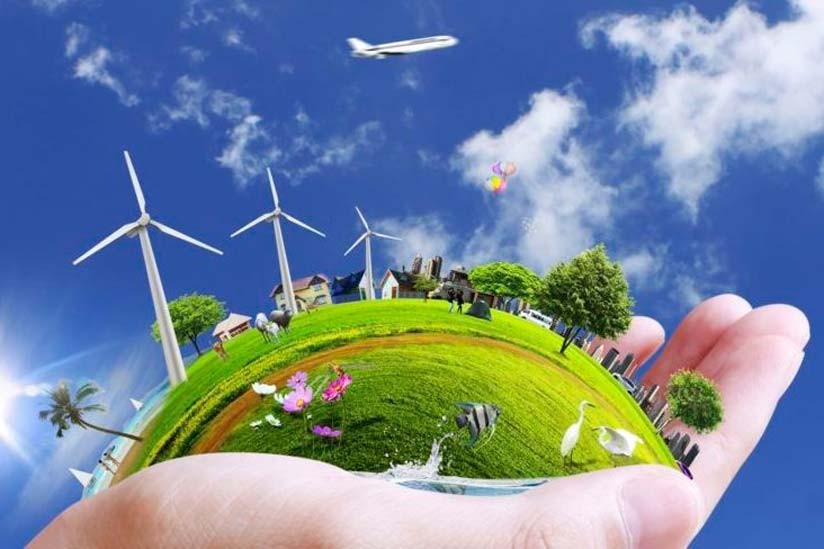 Consejos ecológicos para una vida sostenible 1 Consejos ecológicos para una vida sostenible