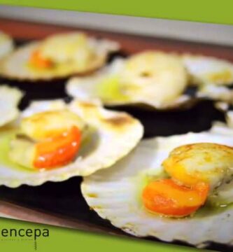 Explora Vigo de tapa en cepa y disfruta sabores uniques 3 Explora Vigo de tapa en cepa y disfruta sabores uniques