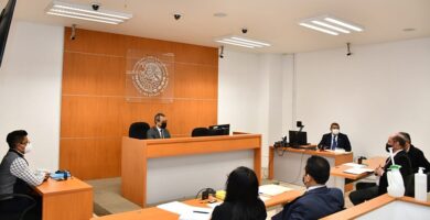 Aspectos claves en los procedimientos de los juicios familiares 10 Aspectos claves en los procedimientos de los juicios familiares