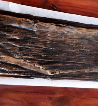 Descubre las ventajas de usar vigas de hormigón robustas
