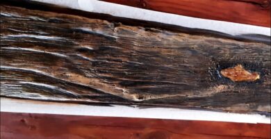 Descubre las ventajas de usar vigas de hormigón robustas 5 Descubre las ventajas de usar vigas de hormigón robustas
