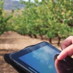 La tecnología que está cambiando la forma de registrar y gestionar el trabajo en el campo