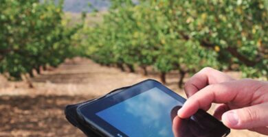 La tecnología que está cambiando la forma de registrar y gestionar el trabajo en el campo 4 La tecnología que está cambiando la forma de registrar y gestionar el trabajo en el campo